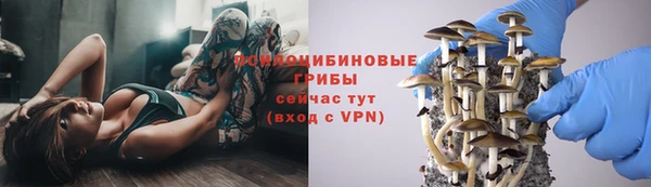 гидропоника Армянск