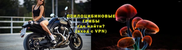 молекула духа Аркадак