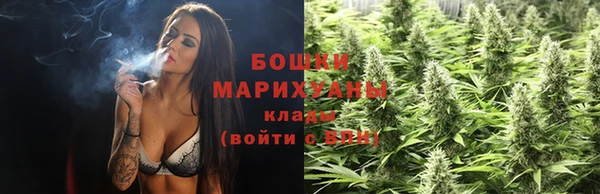 молекула духа Аркадак